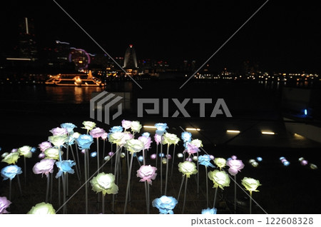 夜間發光的玫瑰花狀物體 夜間發光的玫瑰花狀物體 122608328
