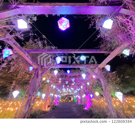 Yakurai Garden illumination event 122608384