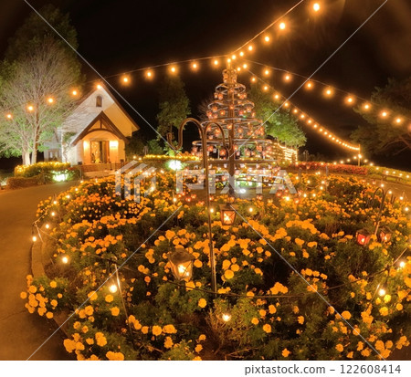 Yakurai Garden illumination event Yakurai Garden illumination event 122608414
