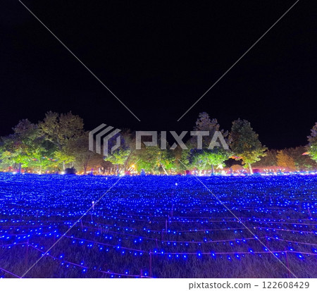 Yakurai Garden illumination event Yakurai Garden illumination event 122608429