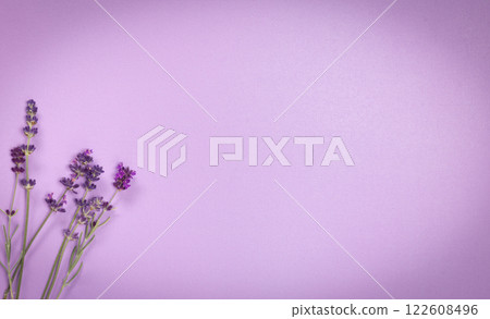 finely textured shiny lavender color background with lavender stems with vignette finely textured shiny lavender color background with lavender stems with vignette 122608496