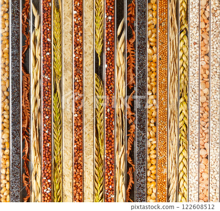 decorative background of seeds of various cereal crops decorative background of seeds of various cereal crops 122608512