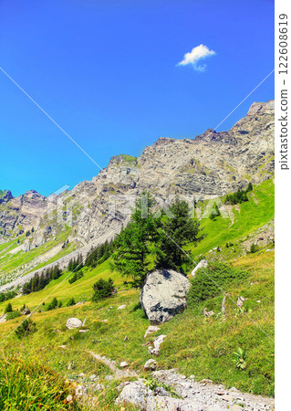 Swiss Alpine landscape with green grass slope against the backdr 122608619