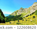 wiss Alpine landscape with green slope, high mountains and blue 122608620