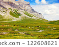 Picturesque Alpine landscape with cows grazing on green meadow a 122608621