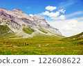 Picturesque Alpine landscape with high mountain peak Argentina a 122608622