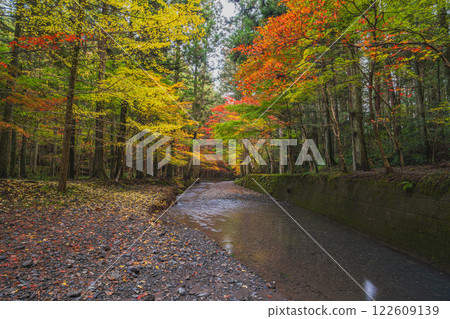 Scenery of autumn leaves and a river at the Momiji Festival at Oguni Shrine, Ichinomiya, Totomi Province, Morimachi (Shizuoka Prefecture) 122609139