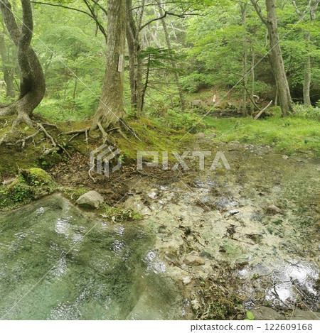 Iwaobetsu Onsen Sandan-no-yu Shiretoko Hidden Hot Springs Spectacular View 122609168
