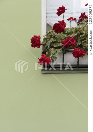 Red geranium on the windowsill of the house. 122609273