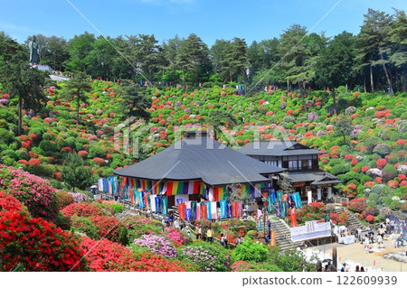 [東京] 晴天的鹽船觀音寺杜鵑花節 122609939
