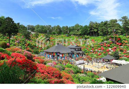 [東京] 晴天的鹽船觀音寺杜鵑花節 122609940