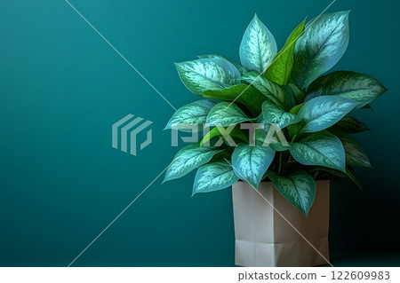 Modern Green Plant in Minimalist Pot with Teal Background for Interior Design Generative AI 122609983