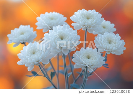 Elegant White Chrysanthemums Against a Warm Autumn Bokeh Background for Floral-Themed Designs Generative AI 122610028