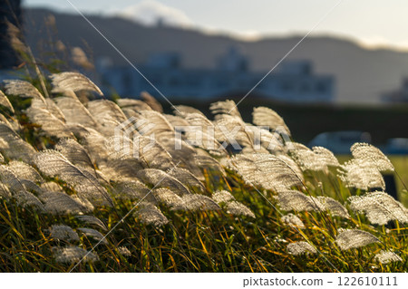 [Material] Autumn image 122610111