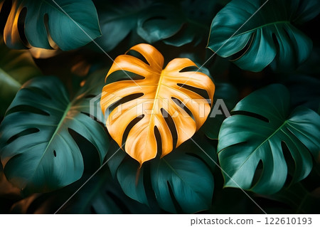 Unique Yellow Monstera Leaf Amidst Green Foliage for Botanical Design Generative AI 122610193