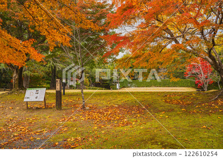 濱松市（靜岡縣）鳥羽山公園的秋葉黃昏 122610254