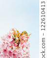Kawazu cherry tree and mezzo 122610413