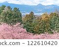 "Ooi Yumeno Sato" Kawazu cherry blossoms in full bloom, overlooking the townscape 122610420
