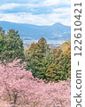 "Ooi Yumeno Sato" Kawazu cherry blossoms in full bloom, overlooking the townscape 122610421