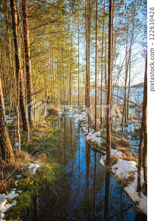 March flood engulfs forest trail, shimmering reflections in melting pools. Spring flood in woods 122610428