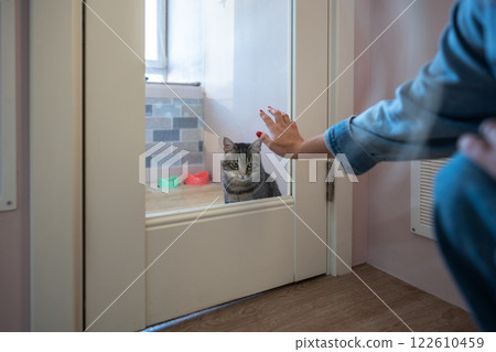 Woman hand on glass door of cat hotel room, gently saying goodbye to cat. Professional care of pets 122610459