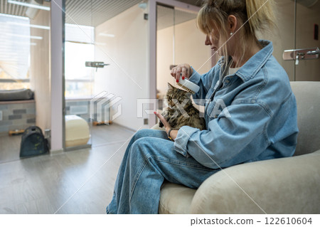 Pet hotel worker combing cat on couch with steam brush for knots and massage, cat enjoys massage Pet hotel worker combing cat on couch with steam brush for knots and massage, cat enjoys massage 122610604