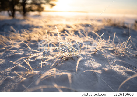 Hoar on dried grass in close up, intense cold. Sunny winter day in countryside on rural landscape 122610606
