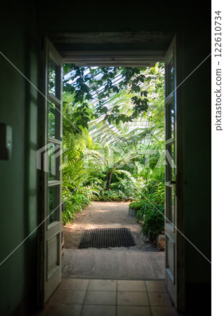 View to the open door in greenhouse with various ferns, palms and other tropical plants in sunny day 122610734
