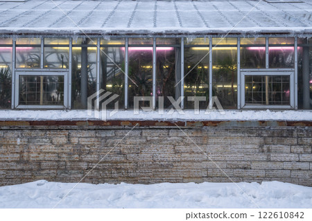 Led photo lamps inside of old greenhouse, plant care during wintertime. Winter plant care Led photo lamps inside of old greenhouse, plant care during wintertime. Winter plant care 122610842