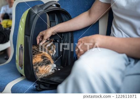 Male hand soothes anxious, quiet cat inside backpack style cat carrier on train. Comfortable pet bag Male hand soothes anxious, quiet cat inside backpack style cat carrier on train. Comfortable pet bag 122611071