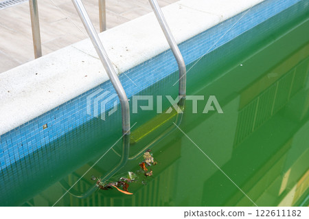 Swimming pool with dirty green water close-up. Swimming pool with dirty green water close-up. 122611182