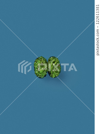top shot on blue background lies a set of two onigiri with seaweed with sesame seeds wrapped in a sheet of nori professional serving of Japanese cuisine top shot on blue background lies a set of two onigiri with seaweed with sesame seeds wrapped in a sheet of nori professional serving of Japanese cuisine 122611381