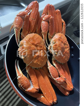 Snow crab Snow crab 122612035