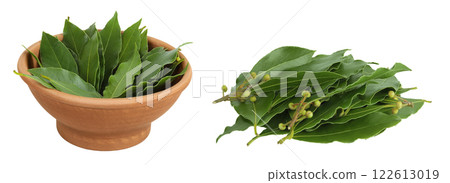 Fresh Laurel leaves in ceramic bowl isolated on white background. Green bay leaf 122613019