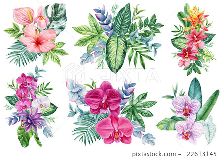 tropical watercolor floral set with exotic orchids, hibiscus, anthurium and green leaves, botanical illustration design 122613145