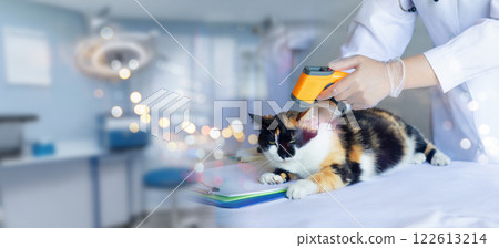 Cats I take temperature at veterinary clinic . 122613214