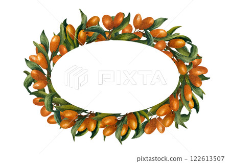 Oval frame with branches of sea buckthorn around the perimeter and frame inside. Watercolor illustration isolated from the background. For packaging of tea and cosmetics, oils, print product Oval frame with branches of sea buckthorn around the perimeter and frame inside. Watercolor illustration isolated from the background. For packaging of tea and cosmetics, oils, print product 122613507