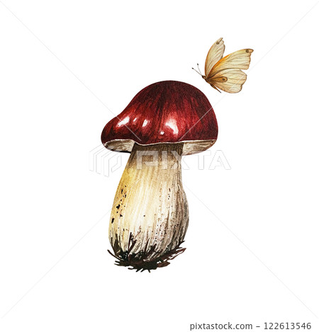 Aspen mushroom with a red cap and a flying butterfly on the side. Watercolor illustration isolated from the background. Hand drawn red-headed mushroom with dirt spots. For book and autumn composition Aspen mushroom with a red cap and a flying butterfly on the side. Watercolor illustration isolated from the background. Hand drawn red-headed mushroom with dirt spots. For book and autumn composition 122613546