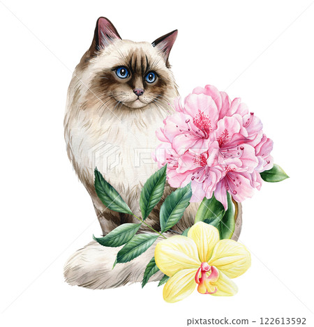 Cat with pink Rhododendron, orchid watercolor botanical pet portrait cozy vintage aesthetic design for home decor, gifts 122613592