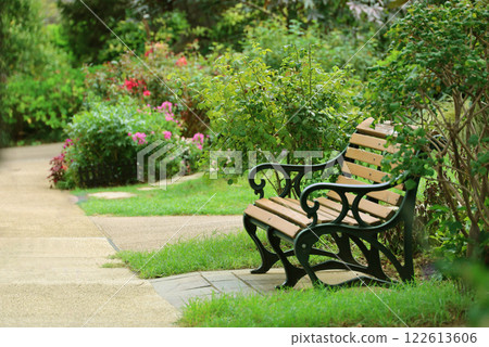 鬱鬱蔥蔥的公園裡的古董長椅 鬱鬱蔥蔥的公園裡的古董長椅 122613606