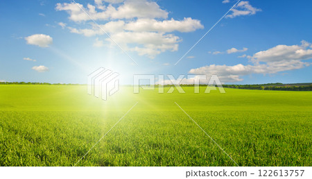 Green wheat field and colorful sunrise. Green wheat field and colorful sunrise. 122613757