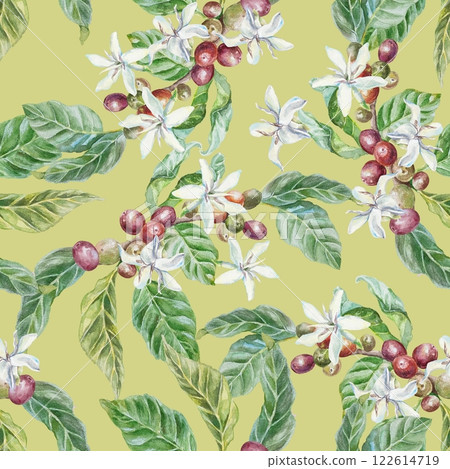 Coffee branches with green leaves, white flowers and fruits seamless pattern. Hand drawn watercolor illustration. For drink labels, wrapping paper, textile, covers, fabric, wallpaper. 122614719
