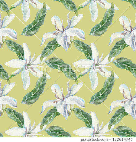 Green leaves and white flowers seamless pattern. Watercolor illustration of elegant floral background. For wrapping paper, covers, fabric, wallpaper. 122614745