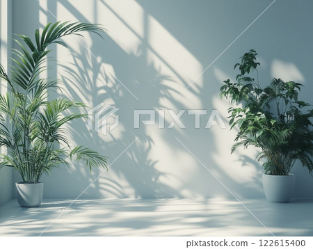 Elegant indoor studio setup with plants casting shadows on a white gradient background 122615400