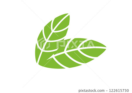 Green leaves, ecology or natural element, flat vector Green leaves, ecology or natural element, flat vector 122615730
