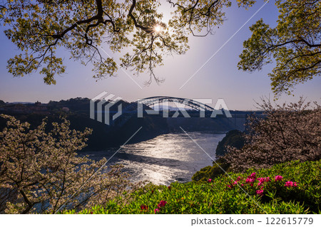 A collaboration of cherry blossoms in full bloom and whirlpools at Saikai Bridge in the sunset A collaboration of cherry blossoms in full bloom and whirlpools at Saikai Bridge in the sunset 122615779