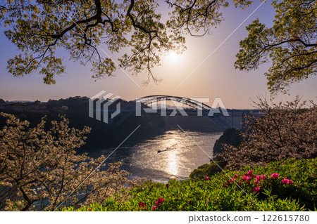 落日西海大橋的櫻花與漩渦交相輝映 122615780