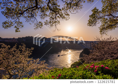 落日西海大橋的櫻花與漩渦交相輝映 122615781