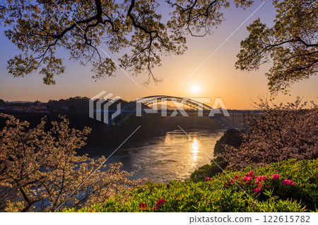 落日西海大橋的櫻花與漩渦交相輝映 122615782