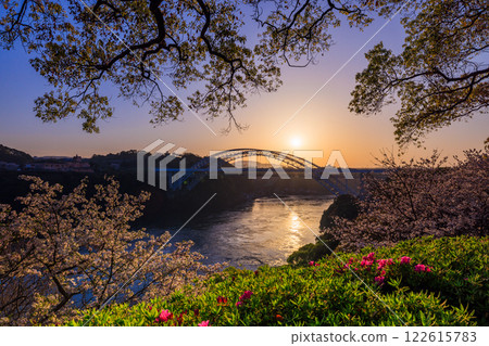 落日西海大橋的櫻花與漩渦交相輝映 122615783